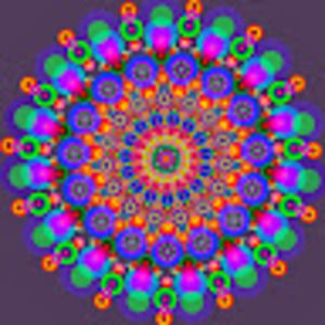 Meet your Posher, Annamarie